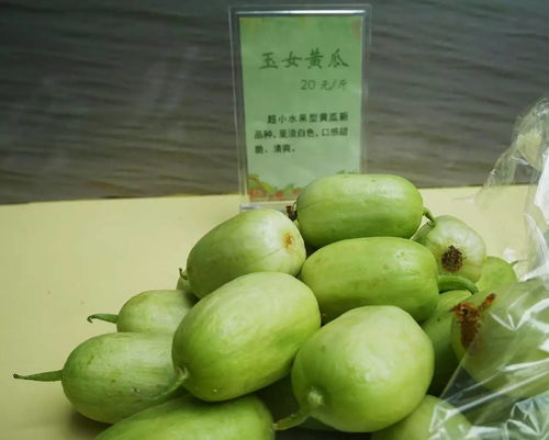 興化特色農產品展銷會南京成功舉辦，感恩有你共譜鄉村振興新篇章