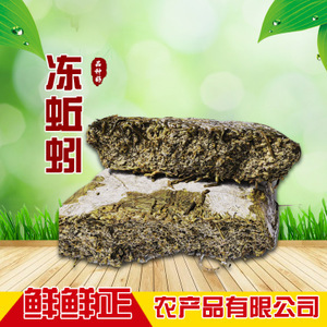 蚯蚓產業全解析 從養殖到市場的綠色經濟之路